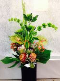 Weekly Arrangement 6